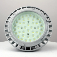 Factory wholesale waterproof 80-watt explosion-proof lamps for refineries, light-emitting diode (LED) explosion-proof lamps.  - 1-199